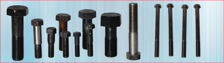 Liner Bolt